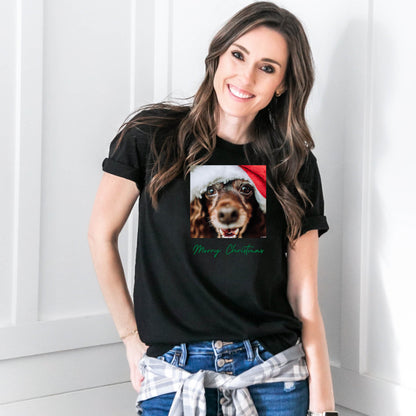 Boykin Spaniel 4MC Adult F Unisex t-shirt