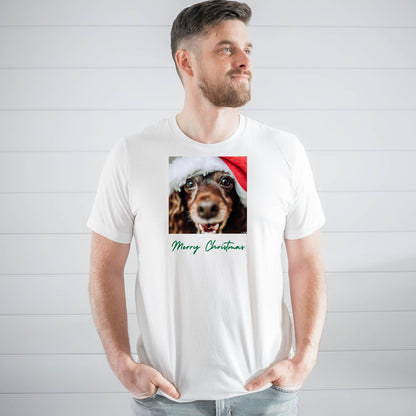 Boykin Spaniel 4MC Adult M Unisex t-shirt