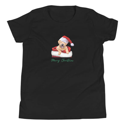 Labrador 1MC Xmas Youth Short Sleeve T-Shirt