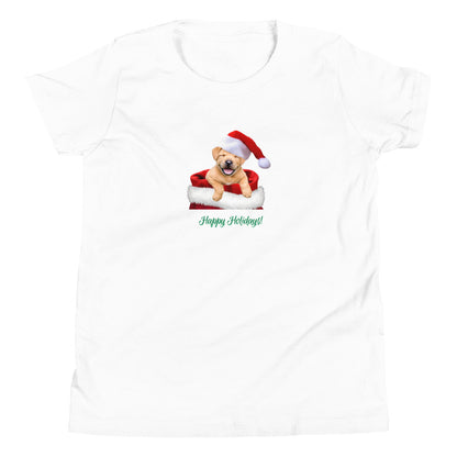 Labrador 1HH Xmas Youth Short Sleeve T-Shirt