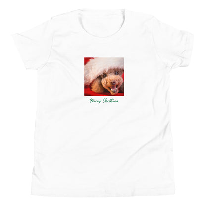 Poodle 5MC Xmas Youth Short Sleeve T-Shirt