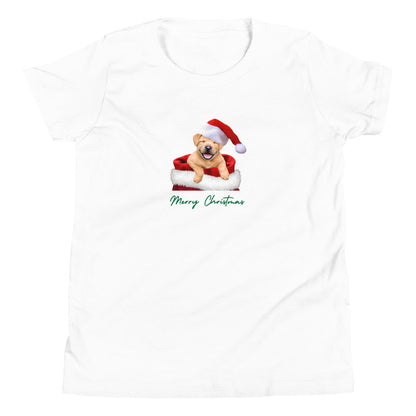 Labrador 1MC Xmas Youth Short Sleeve T-Shirt