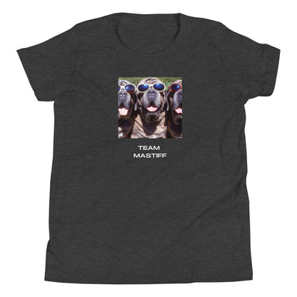 Neopolitan Mastiff 002 Youth Short Sleeve Tee